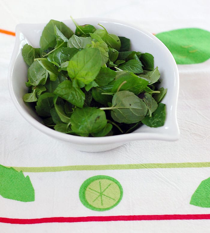 Vegan Pineapple Mojito Rumsicles