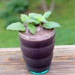 A glass full of Lemon Balm Mint Blueberry Smoothie topped with fresh mint leaves sitting on a wooden table