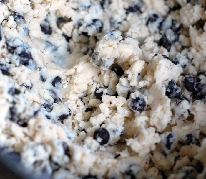 Stevia Chocolate Chip Shortbread