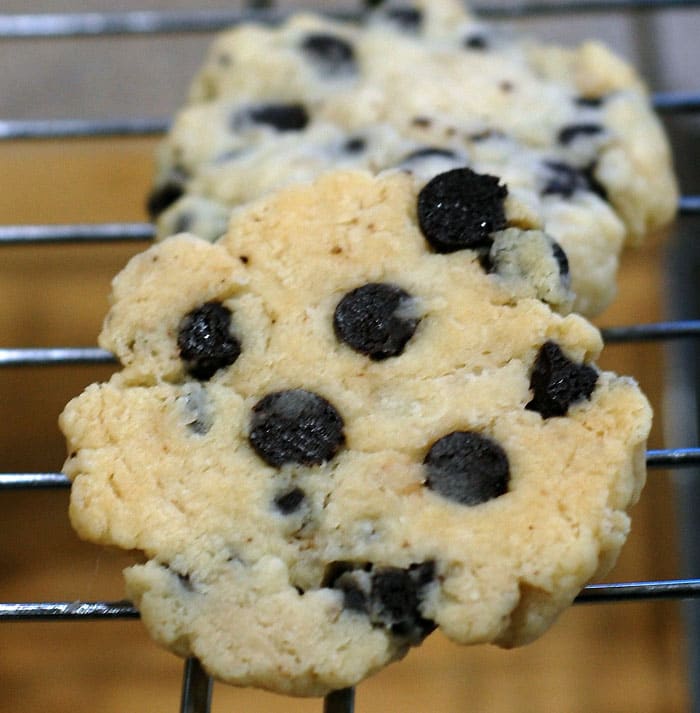Stevia Chocolate Chip Shortbread