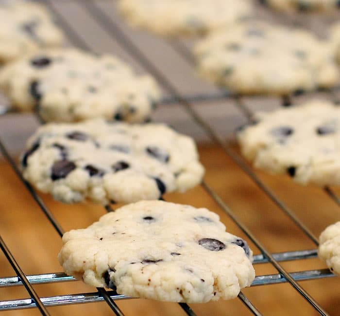Stevia Chocolate Chip Shortbread
