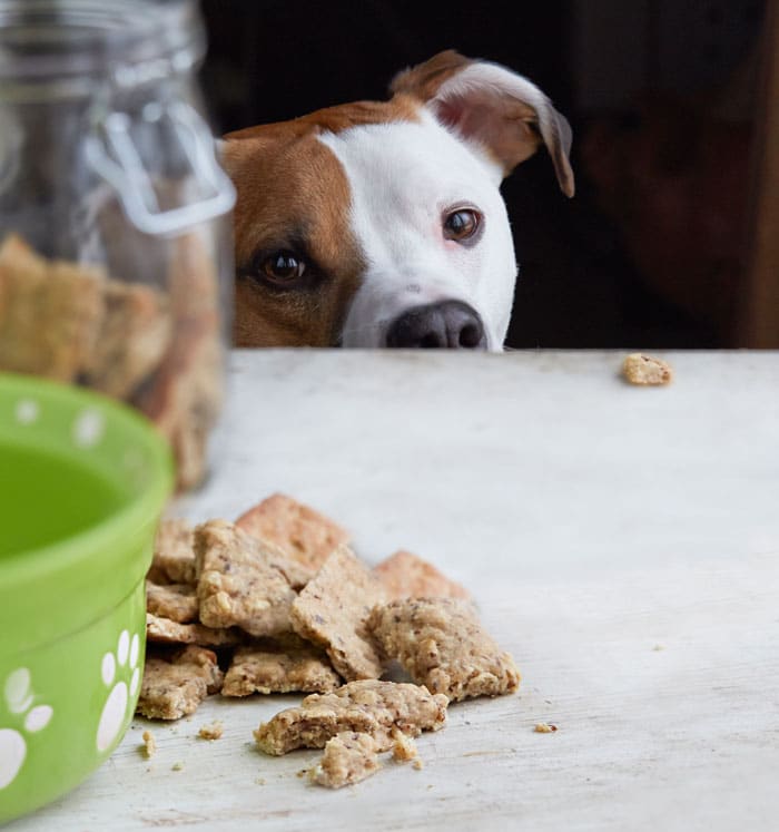 Peppermint Puppy Cookies Peppermint Puppy Cookies from OATrageous Oatmeals | Healthy Slow Cooking