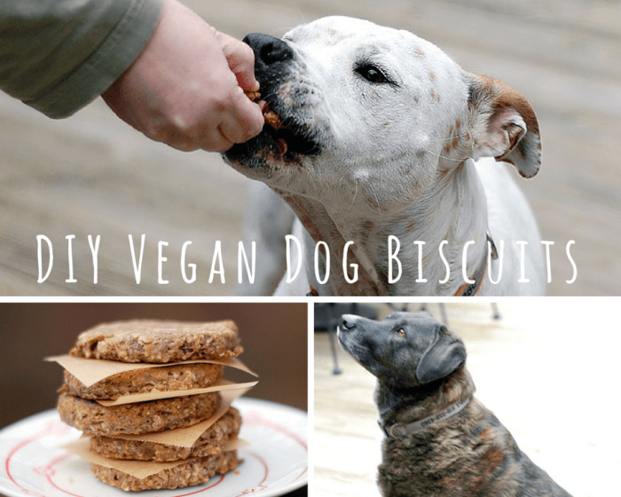 Make Your Own Banana Flax Vegan Dog Biscuits A collage of dogs and cookies